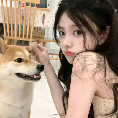 神犬出击